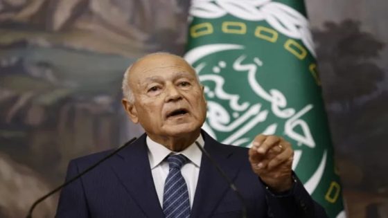 ابو الغيط:تهجير الفلسطينيين غير مقبول للعرب