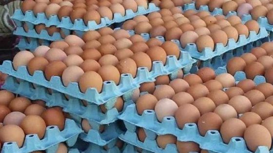 استياء المستهلك المغربي من ارتفاع اسعار البيض قبيل رمضان