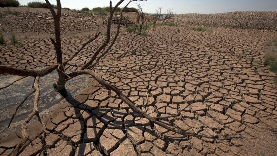 وزير الفلاحة يؤكد ان أمطار الموسم الحالي هي الأقل منذ 3 عقود