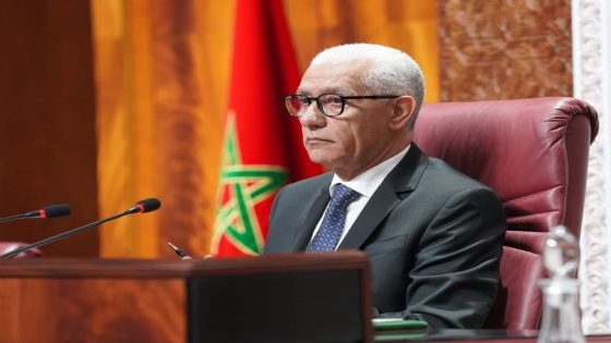 العلمي يؤكد ان برامج الدعم الحكومي لاستيراد الخروف كانت فعالة في تحقيق الاهداف