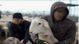 في عملية نوعية.. درك ابن جرير يوقف مبحوثًا عنه وطنياً بتهم تكوين عصابة إجرامية وسرقة موصوفة