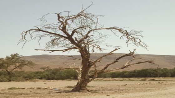 إفران الأطلس الصغير بين “ذهب” الشركات وعطش السكان: قراءة في أرقام الاستغلال وخسائر البقاء