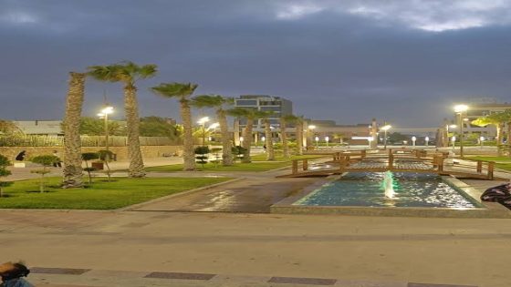 جهة العيون-الساقية الحمراء تكرس موقعها كوجهة استثمارية رائدة بفضل الرؤية المتبصرة لجلالة الملك