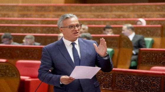 استثمارات الجالية المغربية… من تحويلات مالية إلى رافعة للتنمية