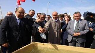 باستثمار 50 مليون درهم.. المغرب يطلق أول مشروع إفريقي لتربية الأسماك في أعالي البحار بسيدي افني